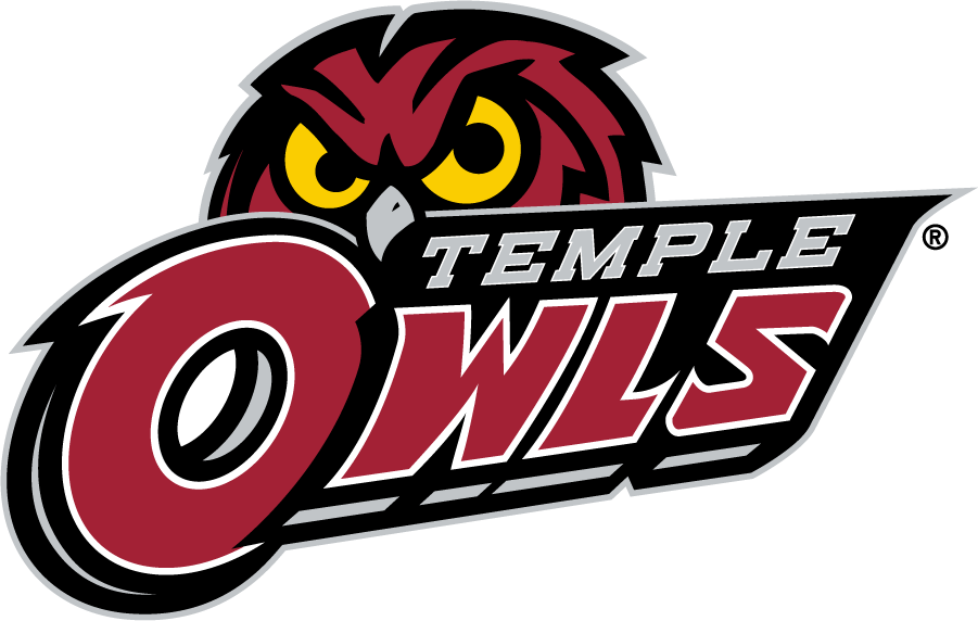 Temple Owls 2014-2017 Secondary Logo DIY iron on transfer (heat transfer)